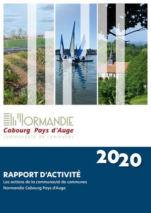 Rapport D'activité 2020
