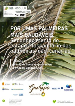 UNIDADE 4_ POR UMAS PALMEIRAS MAIS SAUDÁVEIS. Principais doenças que afetam a Phoenix canariensis, presentes nas Ilhas Canárias