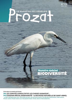 Prozat#119 Mag 210x297 Pa P