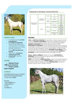 Mudhafar Al Khalediah Version English Combiné