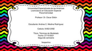 Psicomotricidad Tecnicas De Modelado 1