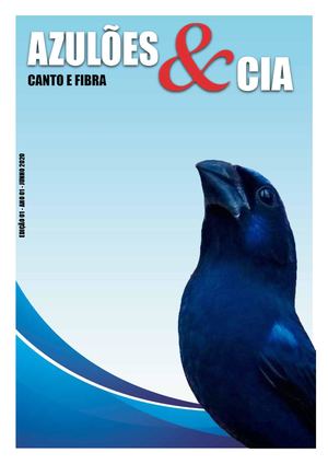 Azulões & Fibra 1ª Edição - REVISTA DIGITAL