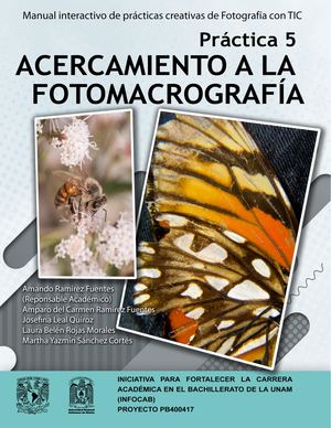 Prácticas+creativas+práctica5+macro