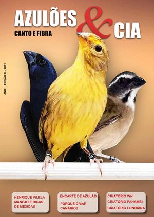 AZULÕES & CIA  4ª EDIÇÃO - REVISTA DIGITAL