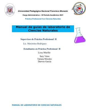 Manual De Laboratorio Pp2 Corregido