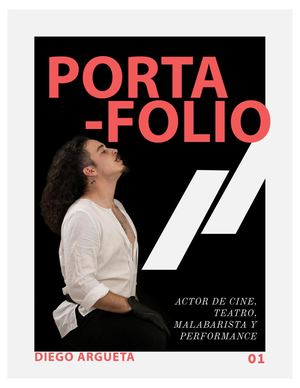 Portafolio Diego Argueta