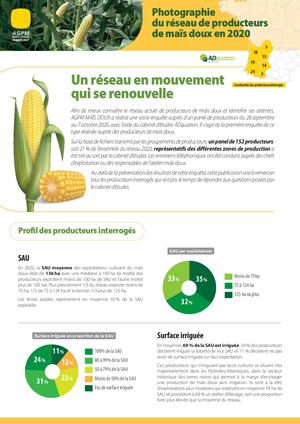 Plaquette Maïs Doux