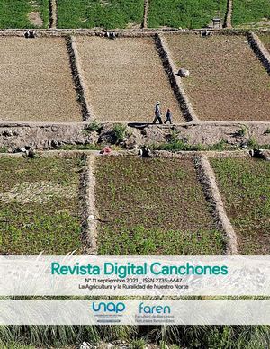 Revista Canchones N° 11