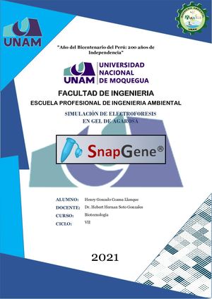 SIMULACIÓN DE ELECTROFORESIS EN GEL DE AGAROSA
