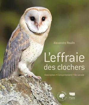 Effraie des clochers par Alexandre Roulin