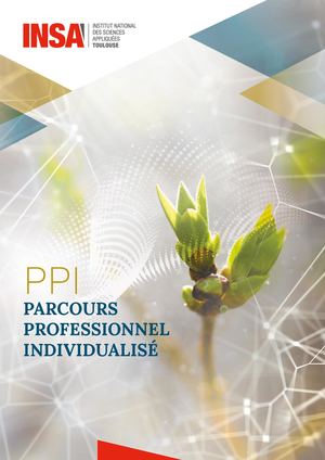 Parcours Professionnel Individualisé (PPI)