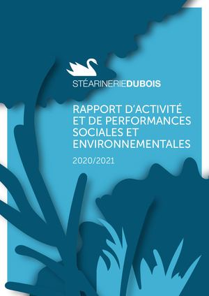 Sd Rapport Rse 2020-2021 Fr2