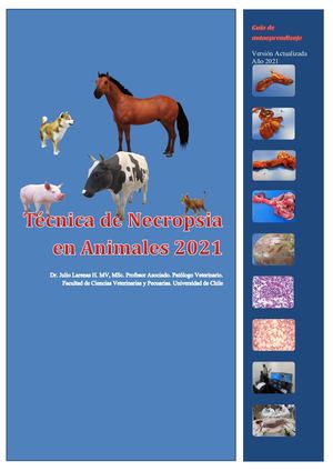 Técnica De Necropsia 2021