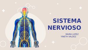 Sistema Nervioso Exposicion