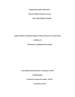 Componente Práctico