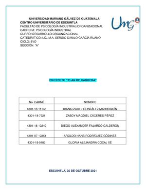 Plan De Carrera Desarrollo Organizacional