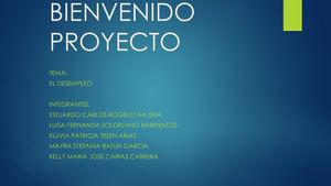 Presentacion De Proyectos (1)