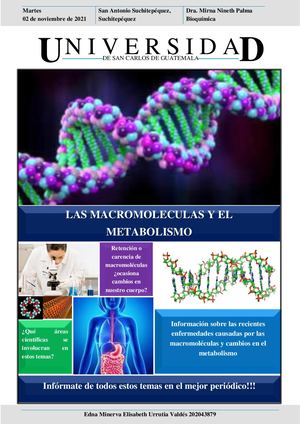 Periodico Macromoleculas Y Metabolismo