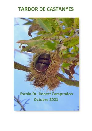 REVISTA DE LA TARDOR