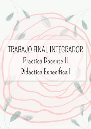 Trabajo Integrador Final