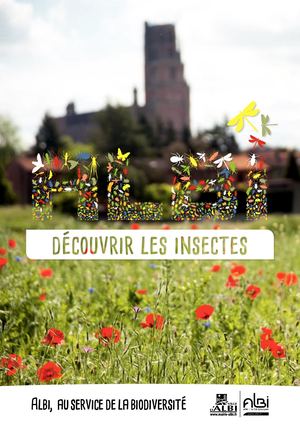 Guide Des Insectes