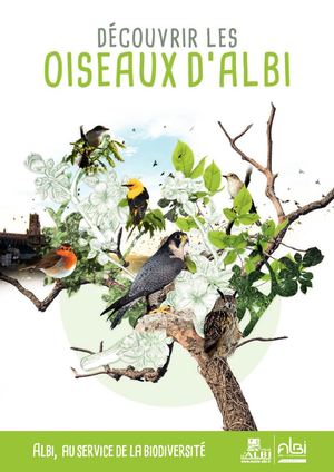 Guide Des Oiseaux