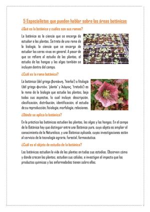 5 Especialistas Que Pueden Hablar Sobre Las áReas Botánicas