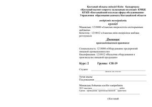 дневник по практике сн 19