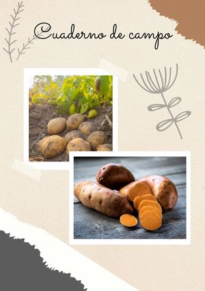 Cuaderno De Campo Ct