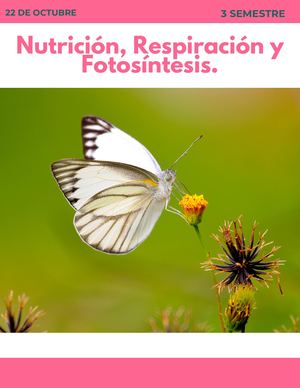 Nutrición, Respiración Y Fotosíntesis