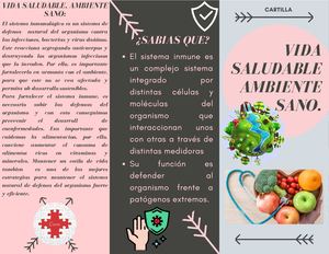 Cartilla Informativa
