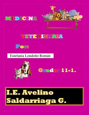 Veterinaria Estefania Londoño 11 1