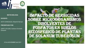 IMPACTO DE HERBICIDAS SOBRE MICROORGANISMOS DISOLVENTES DE FOSFATOS EN SUELOS RIZOSFERICO DE PLANTAS DE SOLANUM TUBEROSUM