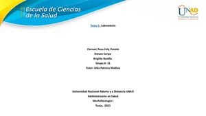 Sistema Linfatico (3)