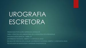 Urografia Excretora