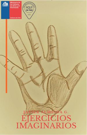 Ejercicios Imaginarios Javier Almeida Gálvez