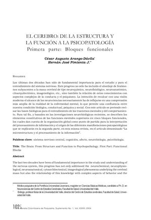 Estructura Y Funcion Cerebral