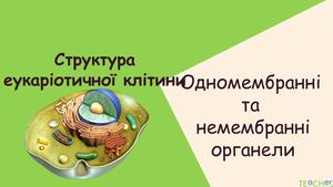 одномембранні  і немембранні органели.