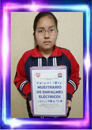 Muestrario De Empalmes Eléctricos Ariana Dolly 3a