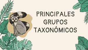 Principales Grupos Taxonomicos