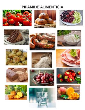 Alimentos 9831635273222