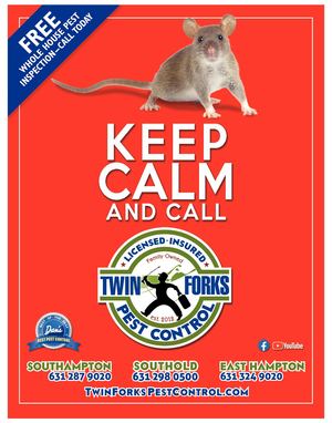 Dan's Papers November 5, 2021 Issue 1