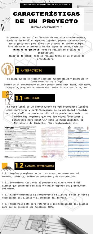 INFOGRAFIA CARACTERISTICAS DE UN PROYECTO