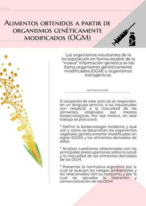 Alimentos obtenidos a partir de organismos genéticamente modificados.