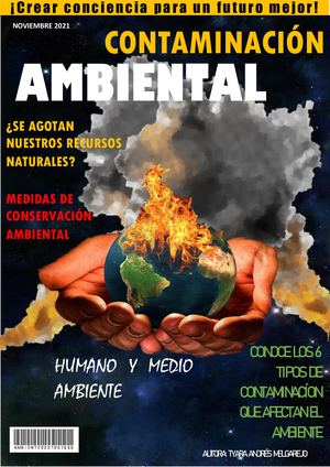 Propuesta (Paso 1 Paso 2)