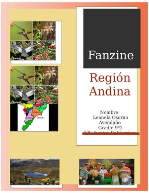 Fanzine Región Andina