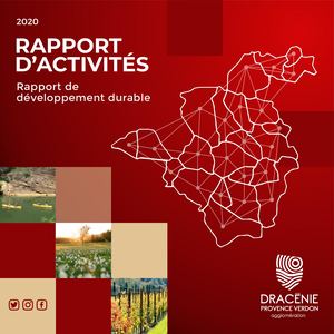 Rapport Activites 2020