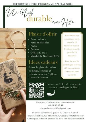 Flyer H2o Noël