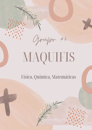 Revista Maquifis