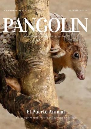 Pangolin
